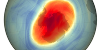 This map shows the size and shape of the ozone hole over the South Pole on Oct. 5, 2022, when it reached its single-day maximum extent for the year. The annual Antarctic ozone hole reached an average area of 8.9 million square miles (23.2 million square kilometers) between Sept. 7 and Oct. 13, 2022. This depleted area of the ozone layer over the South Pole was slightly smaller than last year and generally continued the overall shrinking trend of recent years. Image: Credits: NASA Earth Observatory / Joshua Stevens.