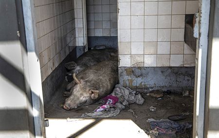 Soweto’s once bustling train stations lie in ruin — it’s as if they were bombed in a war