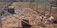 Lions in a captive breeding facility. (Photo: Blood Lions)