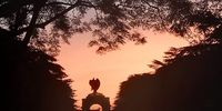 My African Sunset at the Senotaph. Image: Adana-Rose Klass<br>