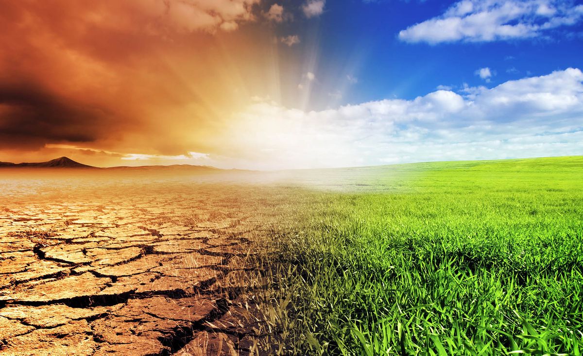 TB and climate change: Will the disease spread faster?