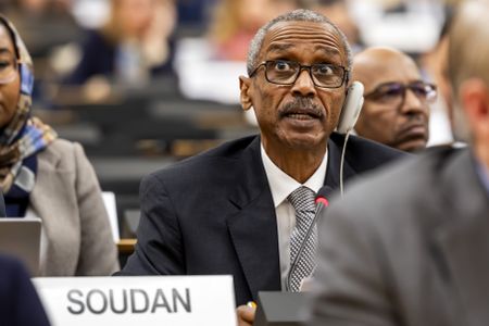 RSF actions in Sudan's al-Fashir points to genocide, UN probe says