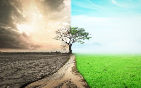 We cannot secure our food future without restoring the natural systems that sustain it