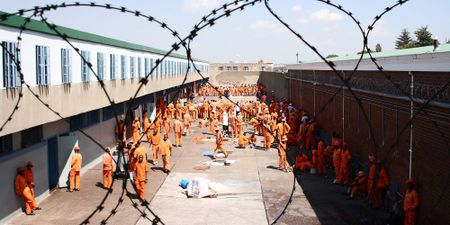 ‘Abhorrent and reprehensible’ conduct — court orders state to pay damages for torture of prison inmates