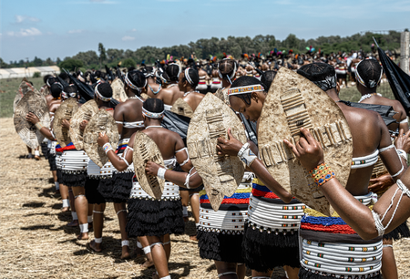 Nguni history is more than just ethnography — a curator of African art explains