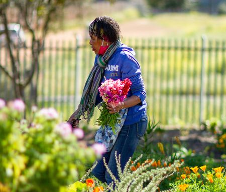 Meet the Kos Gangsters of Ocean View