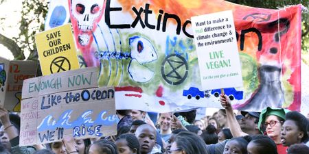 The climate emergency: Disruption and rebellion are now a matter of life and death