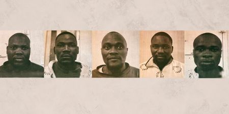 Hefty sentences for rhino poachers after new wildlife trafficking strategy starts to bite