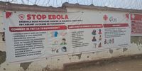 Bird-DRC-ebola response