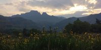 Cathkin Peak and Sterkhorn from Fernwood. Photographer: Jeff Moys 