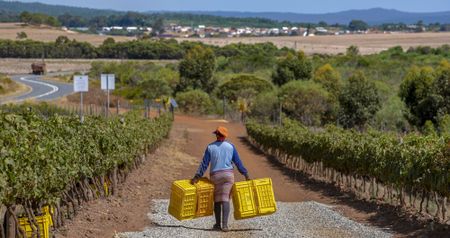 Mining prospecting application in Napier region threatens tourism, environment