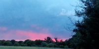 Beautiful Red Sunset, taken by me from my back yard. Muldersdrift, Tuesday 7 December 2021. Image: Cecilia Balebetse