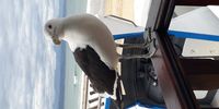 Plett friendly! Image: Mark Taylor