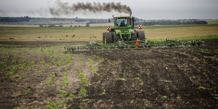 Excessive rains lead to SA farmers planting less maize than initially expected
