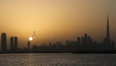 The Gulf States and the unbearable heaviness of excess