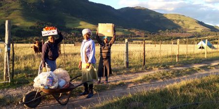 Elundini community's Garden of Hope