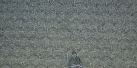 MELBOURNE, AUSTRALIA - JUNE 24:  A lone Magpies supporter in the crowd looks on as it rains during the round 14 AFL match between the Collingwood Magpies and the Fremantle Dockers at Melbourne Cricket Ground on June 24, 2016 in Melbourne, Australia.  (Photo by Scott Barbour/Getty Images)