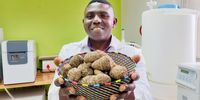 Professor Eric Amonsou, saving the planet and your gut one amadumbe at a time. (Photo: Wanda Hennig)<br>