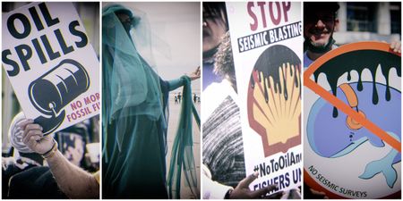 Shell, Impact Africa and Gwede Mantashe granted leave to appeal against judgment barring Wild Coast seismic survey