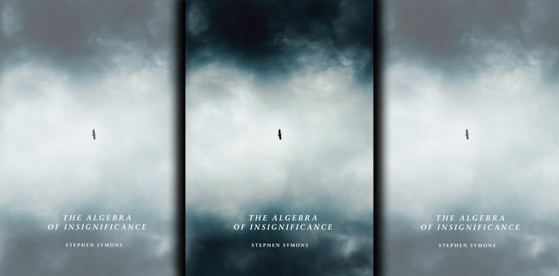 After the Olive Schreiner Award: Stephen Symons and The Algebra of Insignificance