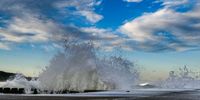 Tidal pool show. Photographer: Leigh Skinner