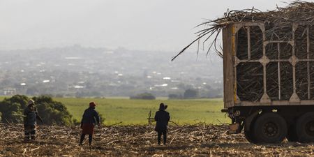 Warm, dry winter still on the cards for SA, rains of La Niña beckon