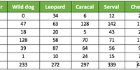 Captive predators other than lions. (Table: DFFE)