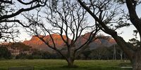 Sunrise on spring-eve. Photographer: Jenni Bessesen