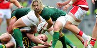 Faf could rekindle his flagging Test career with strong performance against Barbarians
