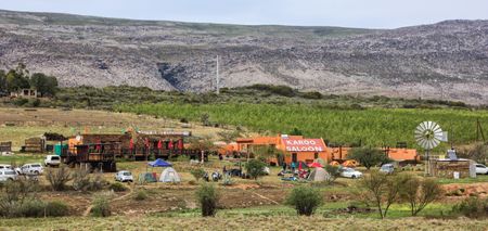 Karoo Oddities: Rocking it with pre-loved book safaris, donkeys, ‘Poison Doctors’ and good ol’ dog biscuits