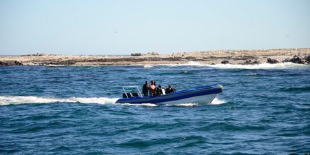 Where the ocean floor is raped while a patrol craft is laughed at