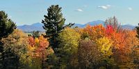 Fall in the Eastern Townships outside Montreal just a jot from the US border… Photographer: Peter C Baker