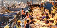 Employees of the Kraaifontein Integrated Waste Management Facility in Cape Town pick recyclables off of a conveyer belt. The facility sorts through approximately 1,500 tons of waste per month. (Photo: Tessa Knight)