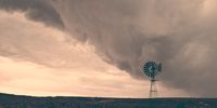 Storm Stirrer. Photographer: Elise Morton