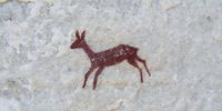 In the Cedereberg /Xam rock art is everywhere. (Photo: Peter Slingsby)