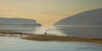 Knysna Heads. Photographer: Troy Pullin