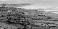 The beach near the Orange River mouth at Alexander Bay – a dystopian driftwood scene, complete with abandoned buildings and misty shoreline