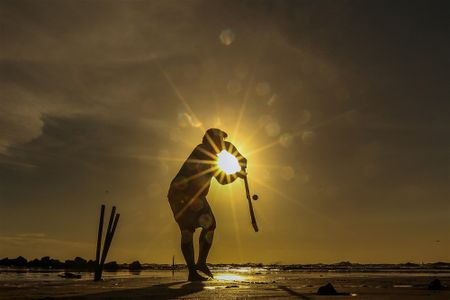 More money coming to American Cricket League, say big US investors