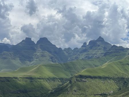 ‘Kinship with the nonhuman’ — reflections on bike riding and being