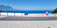 Waiting for whales. Hermanus 3 March 2022. Image: Patrick McLaughlin