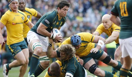 Rugby: A wallop for the Wallabies