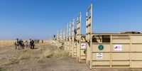 Rhino being led towards transportation crates. (Photo: Michael Dexter)
