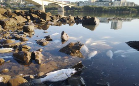 Durban pledges ‘aggressive plan’ to clean up beach sewage pollution crisis before Christmas holidays