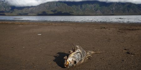 Water wars will increasingly fuel African and Middle East conflicts