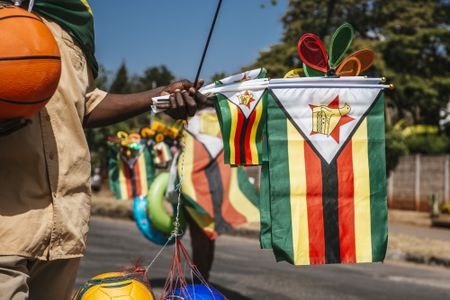 Zimbabwe plans takeover of carbon credit trade, voids past deals