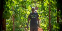 How local parks and community gardens can help cities adapt to climate change