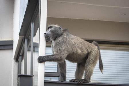 Deep South Vibes: Kataza's 'homecoming' - Can we all get along?