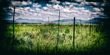 In a non-surprise of the week, former FS agriculture boss blames negative press for Vrede Dairy failure