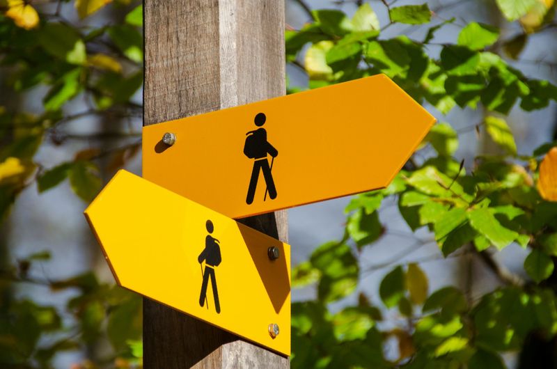 Making a big, lifeâchanging decision? Here are seven steps to consider