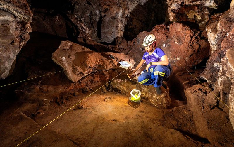 Homo naledi Tooth Proteins Indicate All Individuals in Cave Were Female